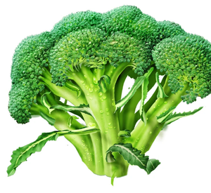 %100 Natural Wholesale Fresh Broccoli Vegetable Origin UK High Quality Fresh Broccoli - Product Image 2