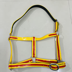 Parfait pour l'extérieur Licou imperméable pour cheval en PVC avec raccords solides toutes les couleurs possibles avec plaque signalétique personnalisée - Product Image 5