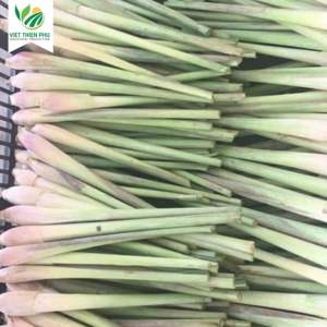 High Quality Organic Frozen Lemongrass From Vietnam Best Price IQF Certified Fresh Export Ready Bulk Quantities - Product Image 5