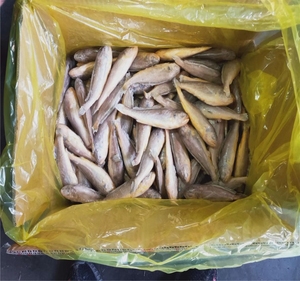 Poisson Croaker jaune glacé, bonne vente - Product Image 5