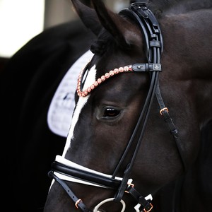 Cheval Anatomiquement Cou Sauver Tetit Décolleté Suédois RH - Product Image 5