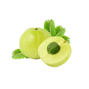 Polvo de grosella espinosa India Amla natural 100% disponible a precio mayorista - Product Image 5