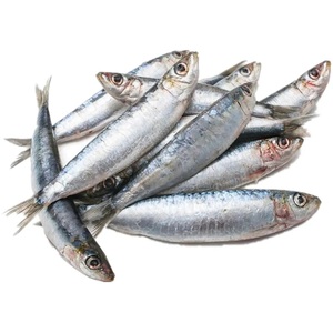 Sardina con pescado, sardina, pescado, pescado - Product Image 4