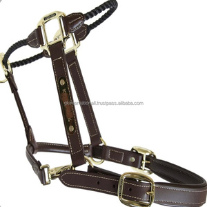 Licou en cuir anglais marron sur mesure avec rembourrage confortable et coutures durables en cuir véritable - Product Image 5