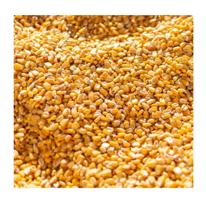 Maíz orgánico amarillo, granos frescos secos, maíz | Precio al por mayor, cultivo experimentado - Product Image 5