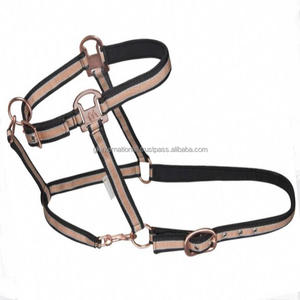 Caballo de nailon de muchos colores, Productos Ecuestres al por mayor, halter, personalización disponible - Product Image 5