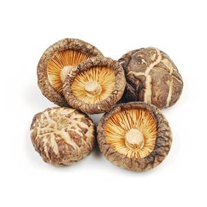 Champignons Shiitake séchés de qualité supérieure pour l'hôtellerie, les complexes hôteliers et la restauration au Vietnam - Product Image 3