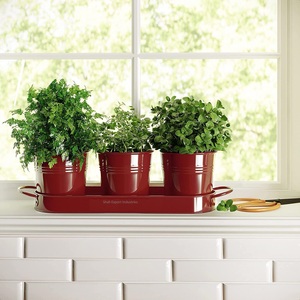 Jardinière en pot d'herbes à revêtement rouge avec plateau pour jardinières en pot succulentes en métal d'intérieur et d'extérieur pour la cuisine à domicile - Product Image 3