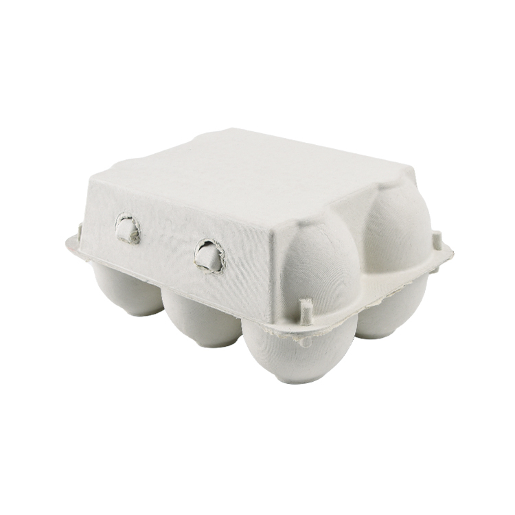 Biodegradable Recyclable Pulp Goose Egg Cartons