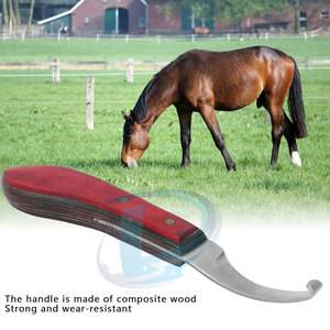 Cuchillos para Cascos de Caballos Más Vendidos, Bajo MOQ, Último Estilo, Color y Tamaño Personalizables - Product Image 4