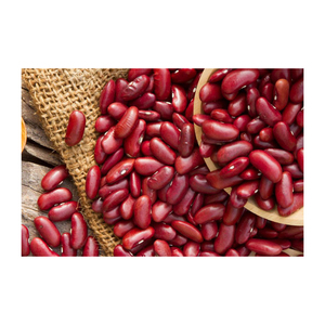 Red Kidney <b>Bean</b> low price bulk supply fresh stock wholesale - Product Image 4