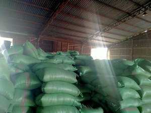 MEILLEURE GRADE 100% cosse de noix de cajou naturelle/granulés de coquille de noix de cajou 3-8mm Vietnam - Product Image 3