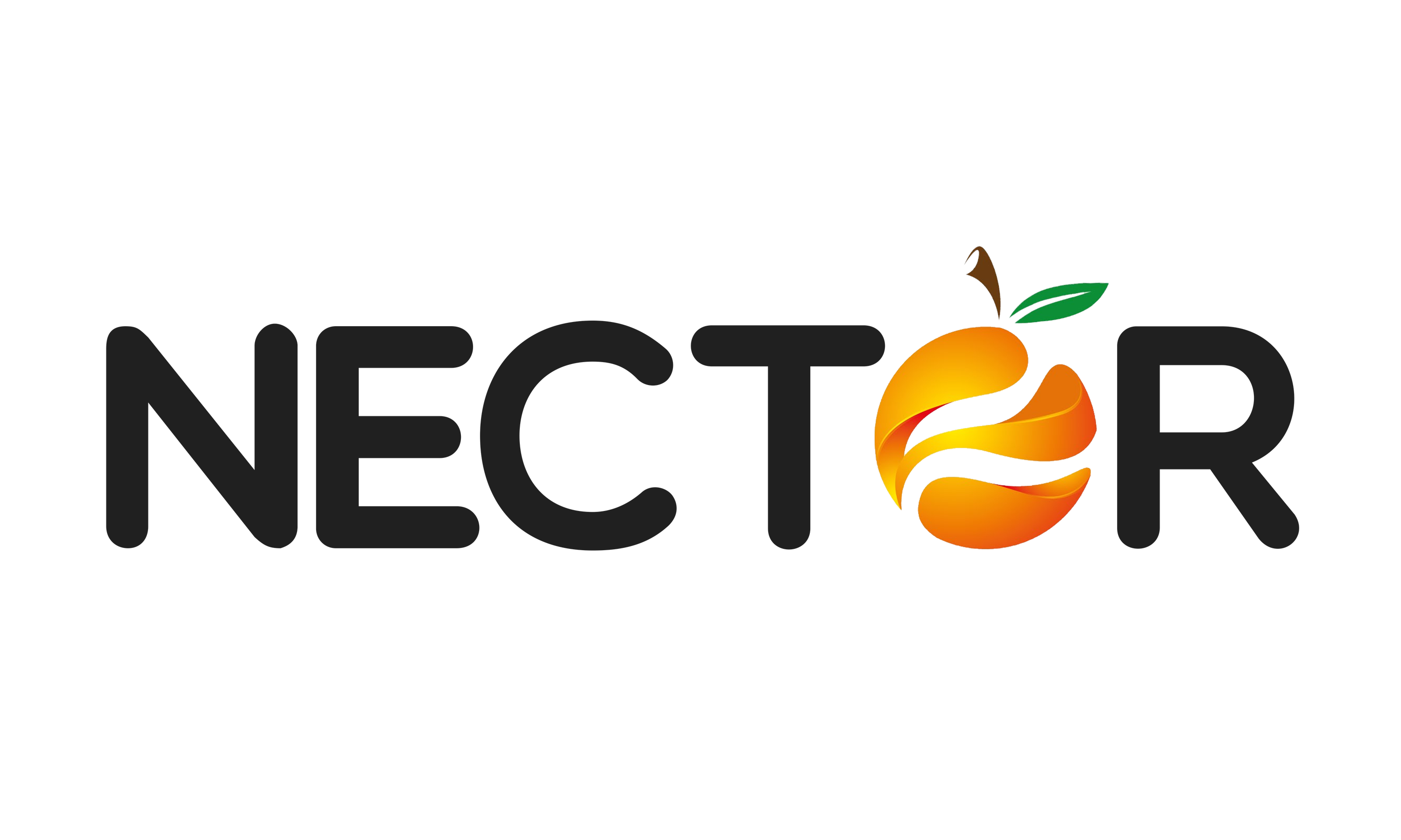 NECTOR FOODS PRIVATE LIMITED logo