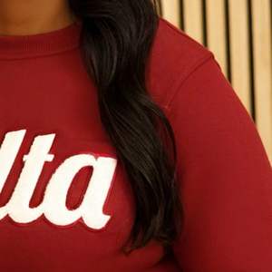 Maroon Delta 1913 Sleeve Chenille <b>Crewneck</b> Sweatshirt Premium Fleece Sorority Apparel Greek DST Warm Winter Top - Product Image 6