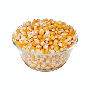 Maíz amarillo de alta calidad, maíz premium, suministrado para compradores mayoristas y socios comerciales - Product Image 4