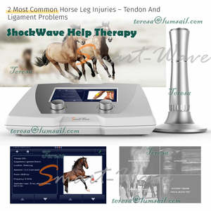 Terapi shock wave telah menjadi standar perawatan untuk nyeri kronis dan tendon/cedera ligamen dalam obat kuda - Product Image 6