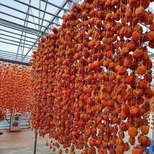 Caqui Seco Vietnamita a Precio Competitivo con Calidad Premium para Compradores Mayoristas Globales - Product Image 1