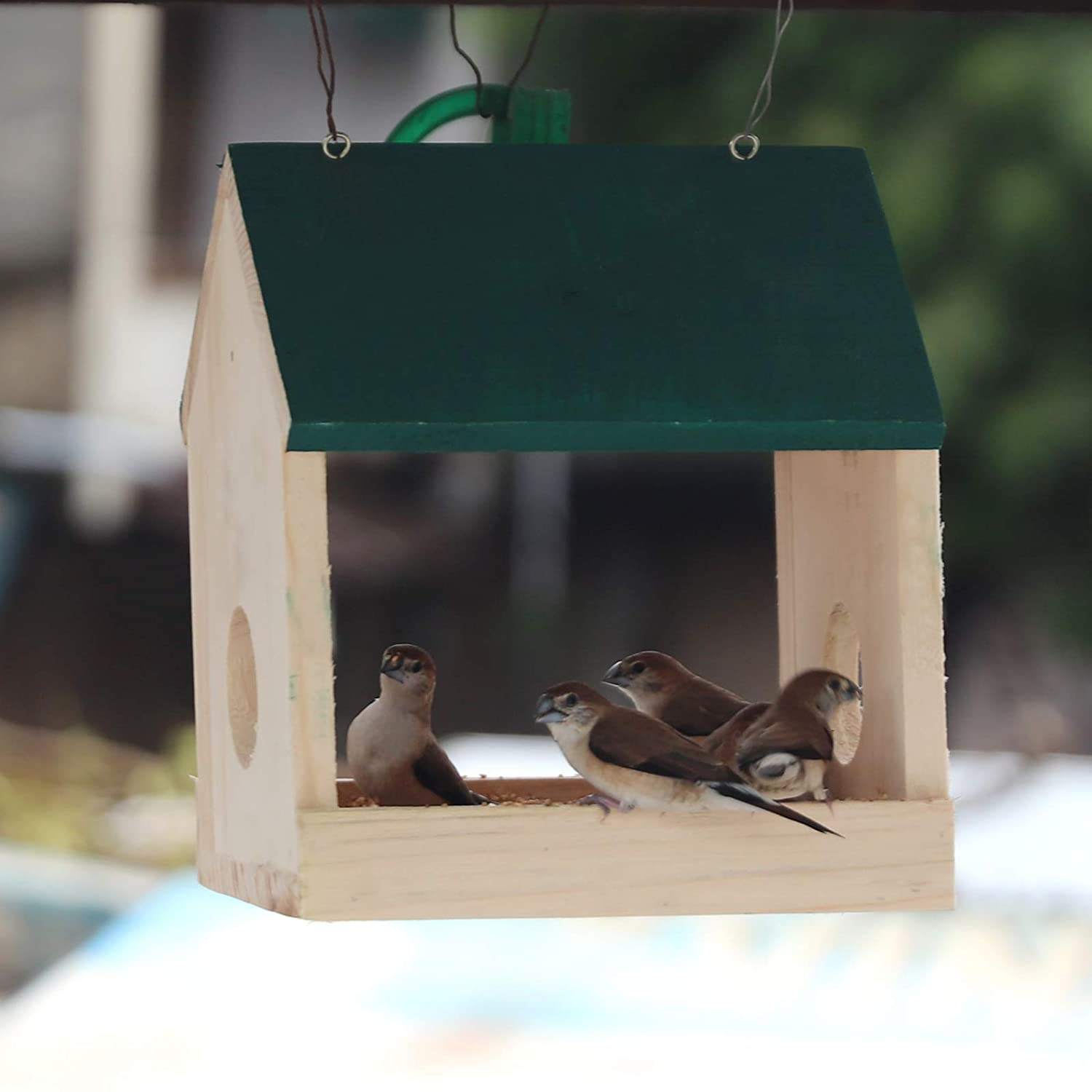 สีเขียว