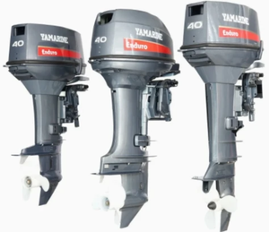 EXPÉDITION EXPRESS POUR MOTEUR HORS-BORD 25HP 30HP E25 30B 2 temps, arbre long ou court - Product Image 1