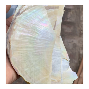 Pièces de coquillage en nacre du Vietnam tranches de nacre pour décoration intérieure incrustation de bijoux meubles artisanaux et panneaux d'art - Product Image 2