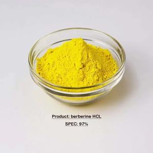 純粋なベルベリンHCLエキスパウダー97% ベルベリンCoptis Chinensisエキスベルベリン塩酸塩 - Product Image 2