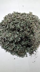 Menta Espiga Seca, Hojas de Menta Espiga, Mentha Spicata, Hojas de Menta Espiga para Cocina, Menta Espiga de Primera Calidad - Product Image 3