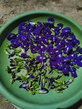 ผลิตภัณฑ์สมุนไพรธรรมชาติดอกถั่วอบแห้งทั้งผลเพื่อความงามสุขภาพและภูมิคุ้มกัน - Product Image 5