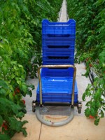 Vente chaude Grande serre Équipement agricole Chariot de récolte standard pour tomates Construction en acier Certifié CE ISO 2 ans