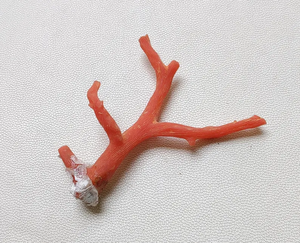 ¡Coral! Piedra preciosa de Coral italiano natural 100%, palitos de Coral rojo, calidad AAA Coral no pulido en bruto, piedra preciosa de palos de Coral marino - Product Image 3