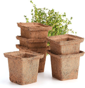 Eco2go Vietnam Origin Coir Seedling Pot | Manufacturer Direct Natural Fiber Nursery <b>Cup</b> - Product Image 1