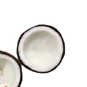 सूखे नारियल वियतनाम 100% ताजा प्राकृतिक उष्णकटिबंधीय शैली नारियल से गर्म बेच ब्रांड थोक व्यापारी सस्ते कीमत कम MOQ - Product Image 3