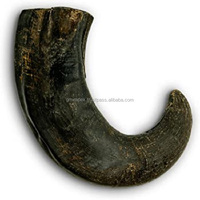 Corne de buffle naturelle de qualité supérieure pointes polies naturelles pointes de corne brute prix de gros fabriqué par gm impex