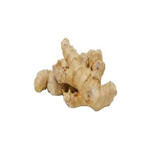 Jengibre para hacer salsas y aderezos caseros - Product Image 2