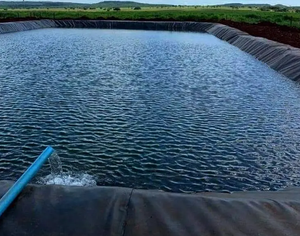 Film <span class=keywords><strong>d</strong></span>'étang de ferme de crevettes - Product Image 2