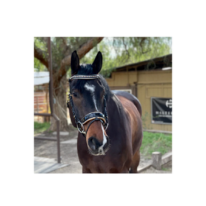 Cleopatra-Bride en cuir verni noir avec rembourrage en or et passepoil verni blanc Bride en édition limitée multifonctionnelle - Product Image 1