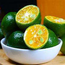 FUENTE BASADA EN PLANTAS DE ETIQUETA LIMPIA DE JUGO KUMQUAT CONGELADO RICO CON VITAMINA C PARA EL BIENESTAR INMUNE NATURAL - Product Image 5