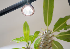 Tskuyomi ไฟตู้ปลา LED 10W ฐาน E26รางวัลสำหรับปลูกพืชใต้น้ำ - Product Image 3