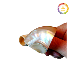 Elegante 99 Gold Data Seashell Servilleteros Shell pulido con estilo Angel - Product Image 4