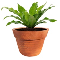 Pots de plantes en terre cuite avec plateau pour jardin/décoration intérieure de la maison Pots de fleurs de jardinage/plantes de jardin pot de jardinière pots faits à la main