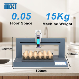 Trứng Tij Máy In Phun Máy In Nhãn Hoàn toàn Tự Động Màn Hình Cảm Ứng Vịt Trứng Số Nối Tiếp Mã Hóa Máy - Product Image 3