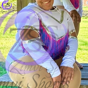 Uniforme de Majorette Personalizado al por Mayor, Diseño OEM ODM, Leotardo con Flecos para Niñas, Traje de Baile de Manga Larga, Diseño de Zimvi Sports - Product Image 5
