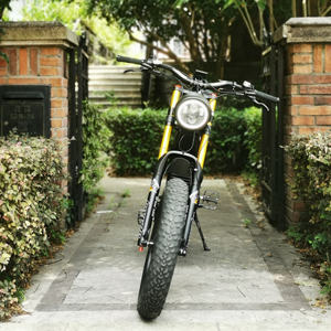 Vélo à Suspension complète cadre en carbone rapide 750w Bafang vélo électrique, pas Surron <span class=keywords><strong>X</strong></span> E Bike - Product Image 6