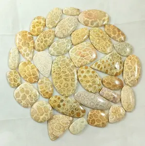 化石珊瑚凸圆形松散宝石混合形状和尺寸珠宝制作用顶级半宝石