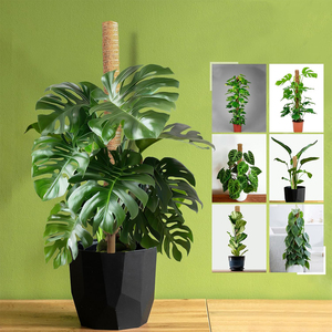 Kit de 4 poteaux en plastique enduit avec attaches et étiquettes pour plantes d'intérieur Monstera – Prêt à expédier (Stock US) - Product Image 4