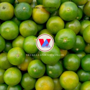 VIETNAM ORIGIN FROZEN KUMQUAT / CLEAN AND HAND SELECTED / SUITABLE FOR BEVERAGE <b>INDUSTRY</b> AND GLOBAL RETAIL <b>CHAINS</b> - Product Image 4