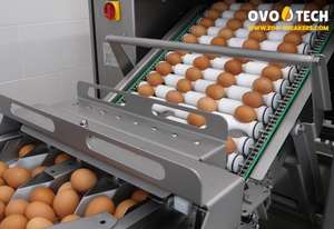 Rompehuevos OVO-TECH RX-4 con Alimentador de Correa Autoajustable, Capacidad de 26000 Huevos/Hora, Equipo de Cocina Comercial para Plantas de Producción - Product Image 3