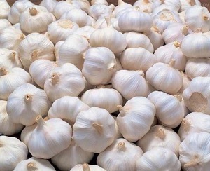 New Arrival! Normal White Purple <b>Garlic</b> Red <b>Garlic</b> 5CM <b>Fresh</b> <b>Garlic</b> with Customers Label 10kgs for Export - Product Image 1