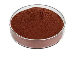 Premium Quality Pure Red Trauben kernex trakt/Trauben pulver für Saft zum besten Preis aus Indien