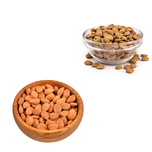 เมล็ดแอปริคอท | วัตถุดิบที่ปลอดภัยและบริสุทธิ์สำหรับการสกัดน้ำมัน - Product Image 2