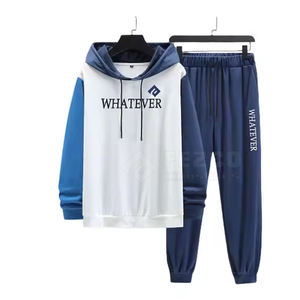 2025 nueva llegada de alta calidad 100% algodón poliéster Unisex chándales con capucha patrón sólido elementos esenciales de invierno característica transpirable - Product Image 1